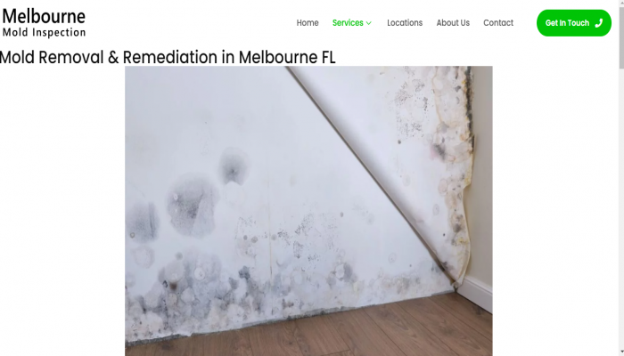 Professional Mold Remediation Services in Melbourne