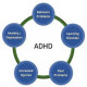 Empowerment through Understanding ADHD