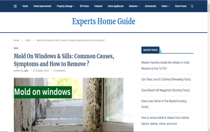 Dealing with Mold on Windows: Causes, Prevention, and Remediation