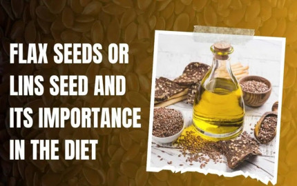 Flax Seeds Or Lins Seed And Its Importance In The Diet