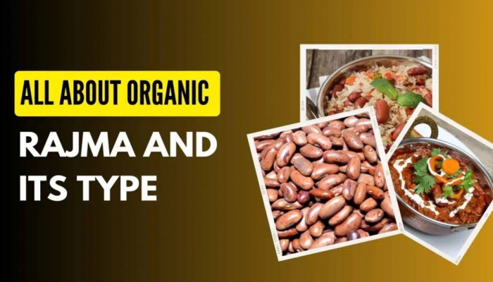 All About Organic Rajma And Its Type