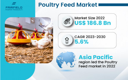 Poultry Feed Market | Top Trends and Key Players Analysis Report 2030