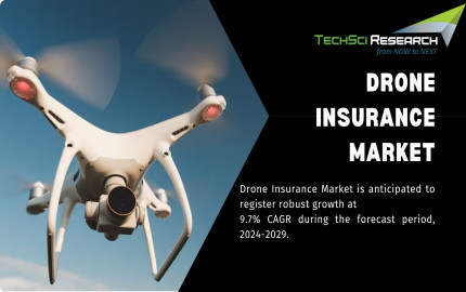 Drone Insurance Market: Size, Share & Trends Type Segmentation