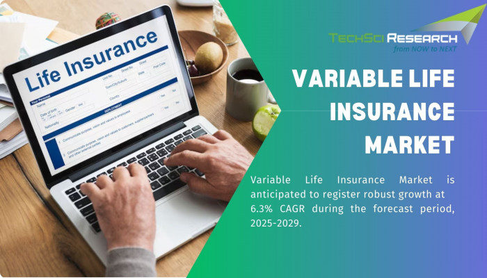 Variable Life Insurance Market: Understanding Consumer Preferences