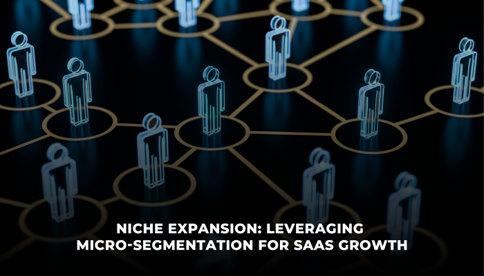 The Power of Micro-Segmentation for Niche Expansion