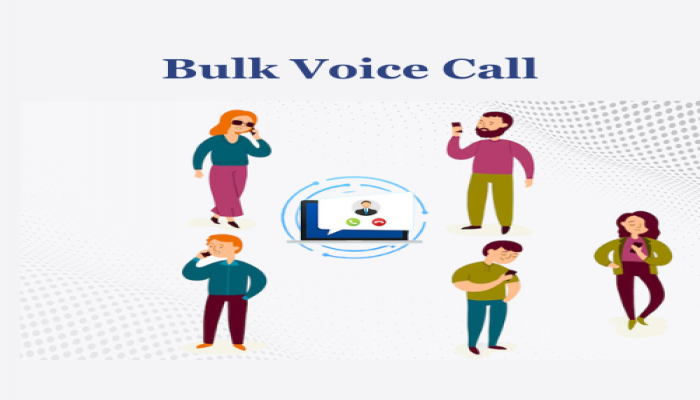 Bulk Voice Call Services for Election Campaigns