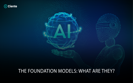 The Foundation Models: What Are They?