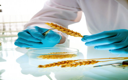 Seed Testing Services Market 2023: Global Forecast to 2032