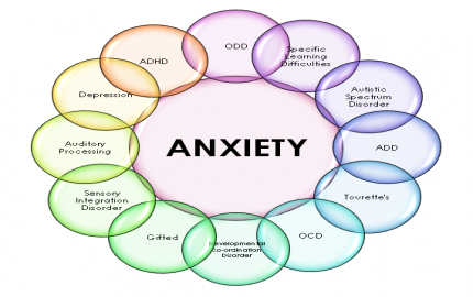 Examining the Neurological and Psychological Aspects of Anxiety Science