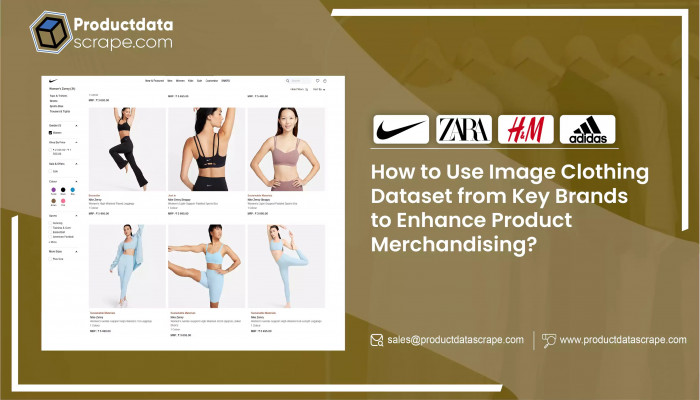 How to Use Image Clothing Dataset from Key Brands to Enhance Product Merchandising?