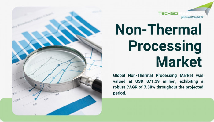 Non-Thermal Processing Market: Forecasting Future Market Demand and Growth