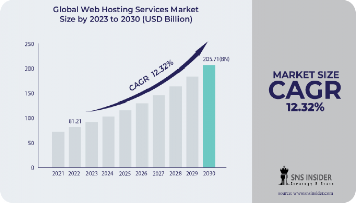 Web Hosting Services Market Key Drivers, Share and Key Drivers 2031