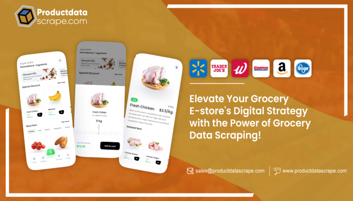 Elevate Your Grocery e-Stores Digital Strategy with the Power of Grocery Data Scraping