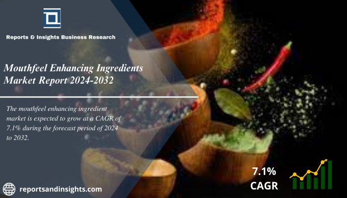 Mouthfeel Enhancing Ingredients Market 2024 to 2032 |Size, Share, Price Trends, Industry Report and Forecast
