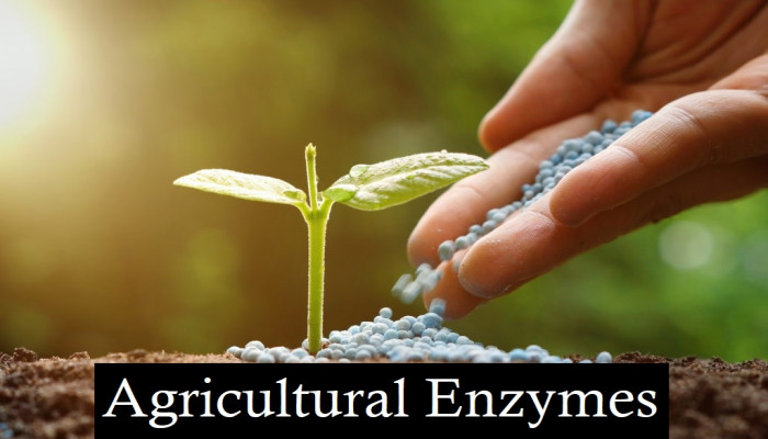 Agricultural Enzymes Market Size, Key Players Analysis And Forecast To 2032 | Value Market Research