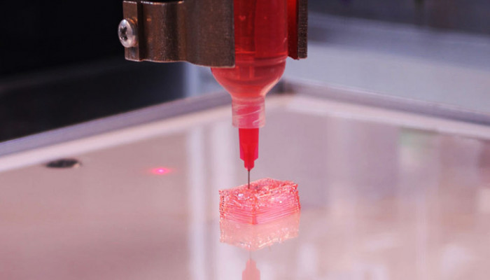 3D Bioprinting Market Segments, Industry Growth, Size, Share, Report 2024-2032