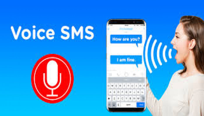 Everything You Need to Know About Bulk Voice SMS Services: Your Ultimate Guide