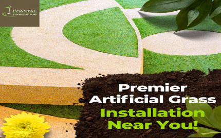 Artificial grass and rock landscaping in Tampa Services
