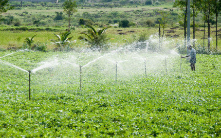 Sprinkler Irrigation Systems Market | Global Industry Growth, Trends, and Forecast 2023 - 2032