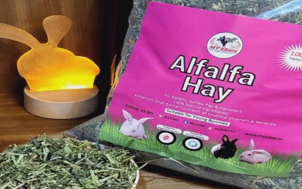 Alfalfa Hay Market Size, Industry Research Report 2023-2032