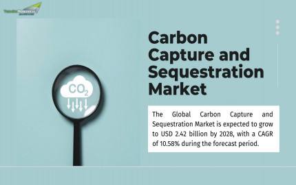 Carbon Capture and Sequestration Market Environmental Impact Assessment: Sustainability Perspectives