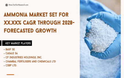 Ammonia Market Detailed Analysis of Share, Growth [2028]
