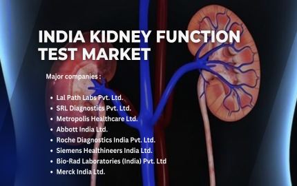 India Kidney Function Test Market: Unravelling Competition, Size, and Industry Growth Prospects up to 2029 - TechSci Research