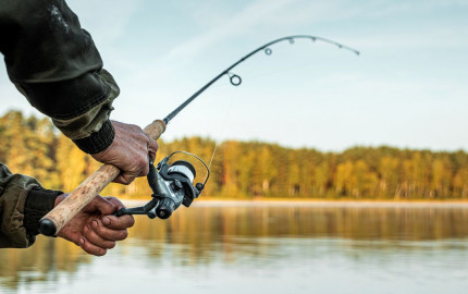 The Top 5 Must-Have Gear for Every Fisherman