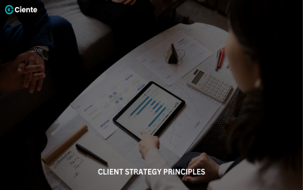 Client Strategy Principles