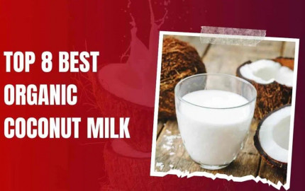 Top 8 Best Organic Coconut Milk