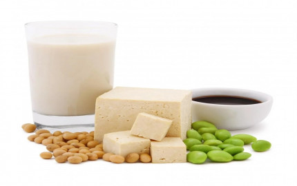 United States Plant Based Protein Market Analysis 2024-32: Size, Growth, Trends, & Industry Forecast