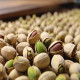 Pistachios Processing Plant Project Report 2024: Raw Materials, Machinery and Technology Requirements