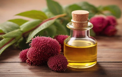 Amaranth Oil Processing Plant Report 2024: Raw Materials, Investment Opportunities, Cost and Revenue