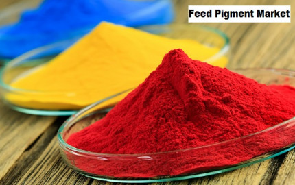 Feed Pigment Market to Be Segmented by Increasing Demand from Food and Beverage Industry