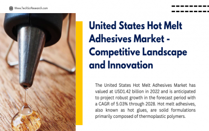 United States Hot Melt Adhesives Market Set for XX.XX% CAGR Through 2028- Forecasted Growth