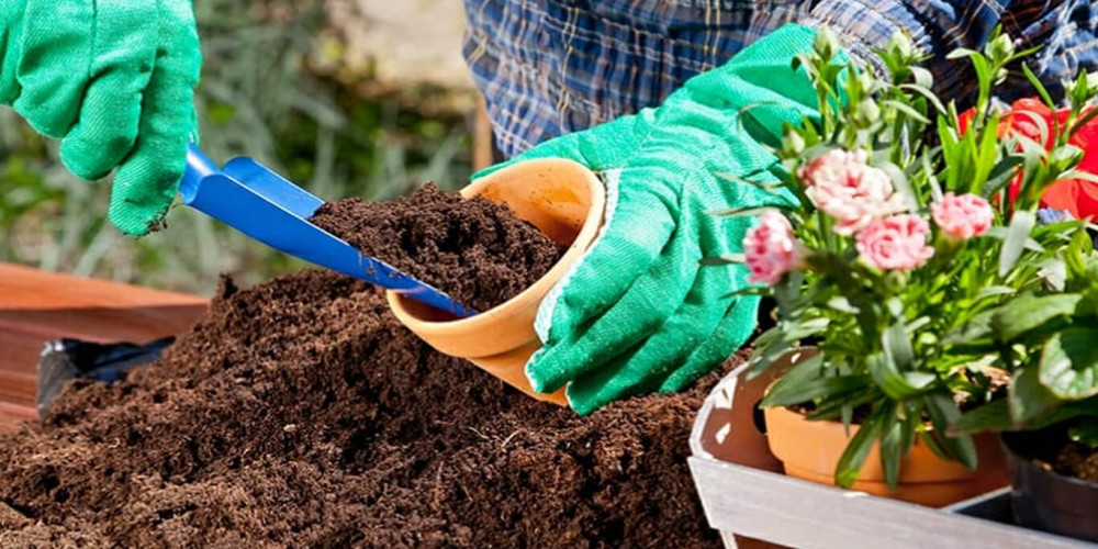 Coco Coir Market | Industry Outlook Research Report 2023-2032 By Value Market Research