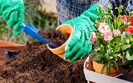 Coco Coir Market | Industry Outlook Research Report 2023-2032 By Value Market Research