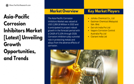 Asia-Pacific Corrosion Inhibitors Market - Competitive Landscape and Innovation