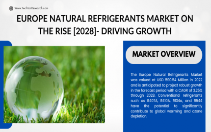 Europe Natural Refrigerants Market [2028]- Exploring Robust Growth & Forecast