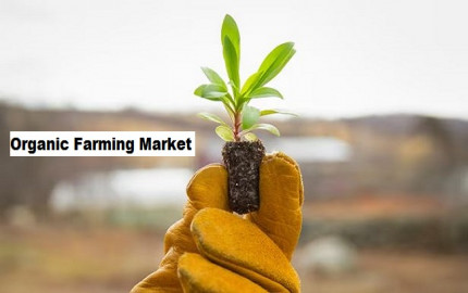Organic Farming Market to Grow at a CAGR of 8.04% Through 2027