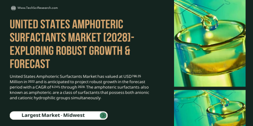 United States Amphoteric Surfactants Market on the Rise [2028]- Driving Growth