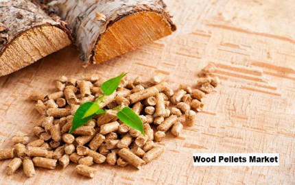 Increasing demand for renewable energy sources Propelled the Wood Pellets Market