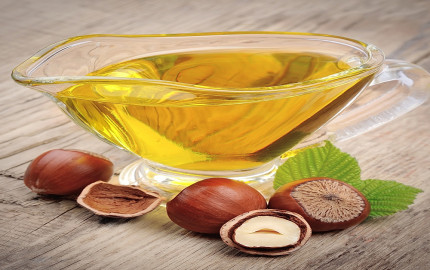 Hazelnut Oil Processing Plant Project Report 2024, Business Plan, Cost and Raw Material Requirements