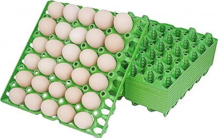 Egg Tray Manufacturing Plant Project Report 2024: Business Plan and Raw Material Requirements | IMARC Group
