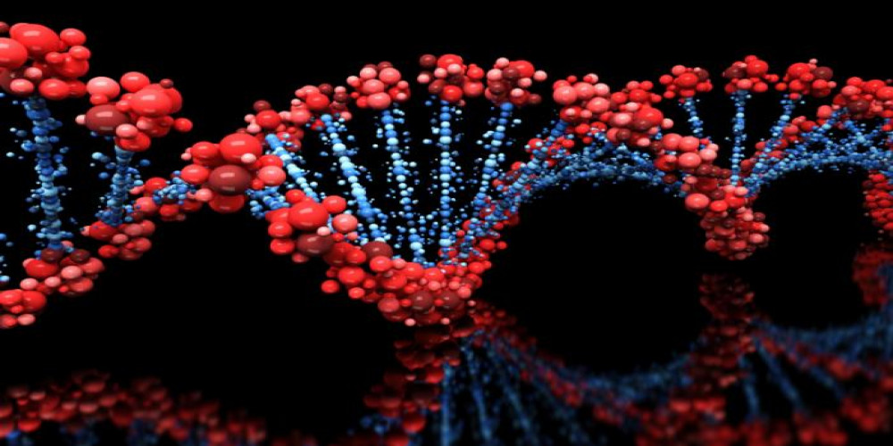 Genomic Biomarkers Market Size, Status, Growth | Industry Analysis Report 2023-2032