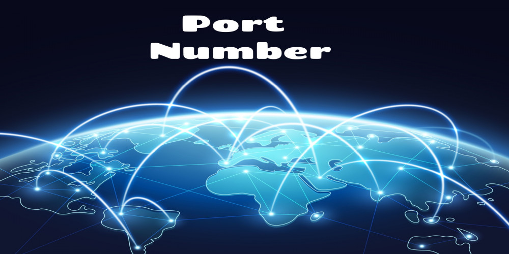 What are port numbers, and how do they work?