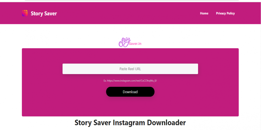 story saver instagram video downloader