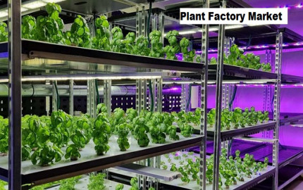 Plant Factory Market to Grow with a CAGR of 7.04% through 2028
