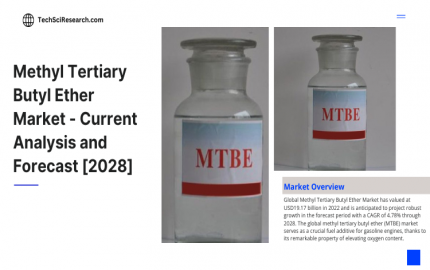 Methyl Tertiary Butyl Ether Market Trends [2028]- Exploring the Dynamics of Industry