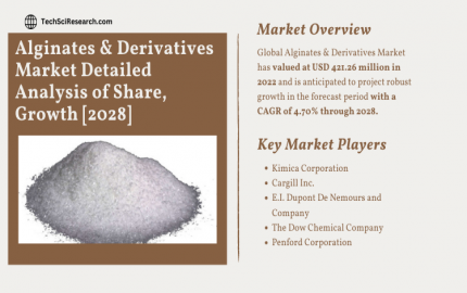 Alginates & Derivatives Market [2028]- Analyzing the Exponential Growth